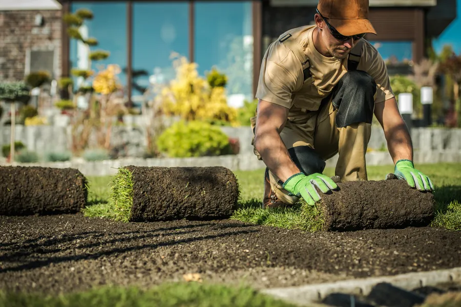 Affordable Landscape Installation