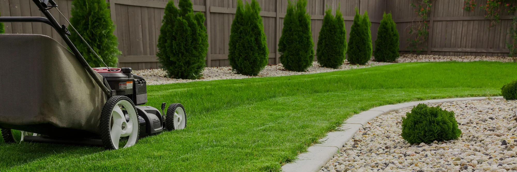 Professional Garden Design